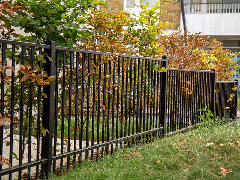 Garden Fence Replacement Harrogate