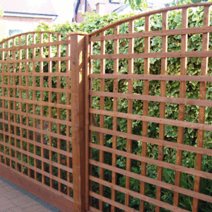 Feather Edge Fencing Harrogate