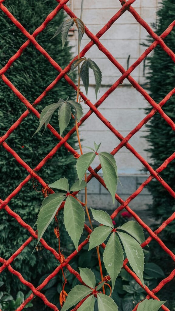 Fence Repair Harrogate